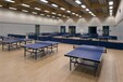 乒乓球场地地板，室内乒乓球地板，奥丽奇运动地板厂家