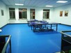 乒乓球地板价格，乒乓球室地板，乒乓球场地地板
