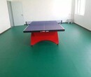 奥丽奇室内乒乓球运动地板，乒乓球塑胶地板