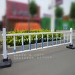 上海供应道路护栏价格图片