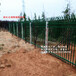 海南生产工地护栏网价格临边防护栏杆销售