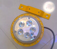 24V海洋王LED防爆灯BFC8183固态免维护防爆灯BFC8183-LED防爆灯