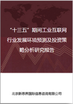 第“十三五”期间工业互联网行业发展环境预测及投资策略分析研究报告