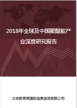 2018年及中国聚醚胺产业深度研究报告