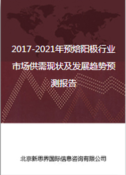 2017-2021年预焙阳极行业市场供需现状及发展趋势预测报告