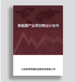 2020年中国新能源项目商业计划书