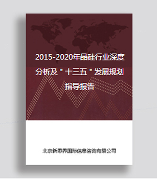 晶硅行业深度分析及＂十三五＂发展规划指导报告(2020-2025年)