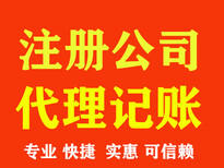 义乌公司执照代办义乌注册公司义乌代办执照税务申报出口退税图片0