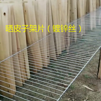 楊木曬板架A渦陽楊木曬板架A楊木曬板架廠家