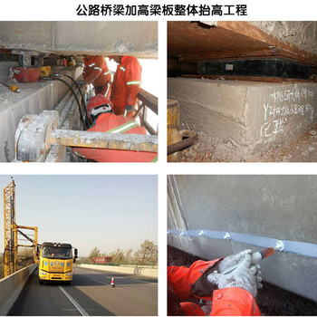 GYZd500×110圓形板式支座橋梁板式支座常盛橡膠支座廠家
