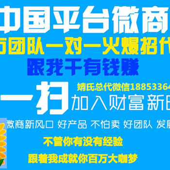 婧氏口红怎么代理，婧氏口红效果怎么样，婧氏代理怎么做？