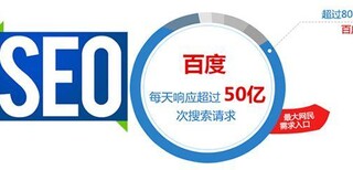 坪地网站建设公司龙岗网络推广沙井网站改版晒布网站设计图片4