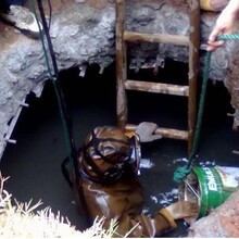 广州杰森专业石材翻新绿化托管消杀蚊虫鼠蚁