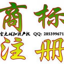 金之林知识产权商标注册东莞南城东莞南城代理商标注册