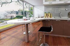 厨柜十欧意厨柜之月光曲丽晶系列烤漆整体厨柜品牌厨柜加盟图片1