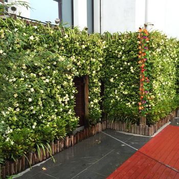 西安高新区立体绿化植物墙设计与施工
