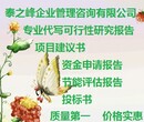 代写可行性报告分析有理有据突出企业发展图片