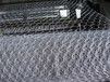 巨人养猪围网，大型六角网卷网镀锌拧编围网防护效果好