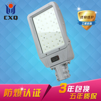 LED防爆路灯60W