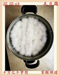 毛豆腐菌种生产厂家腐乳毛霉菌种白毛菌图片2
