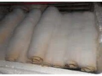 毛豆腐菌种生产厂家腐乳毛霉菌种白毛菌图片5