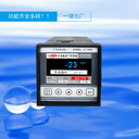 LF-160B在線氟離子控制器氟離子檢測儀