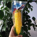 进口材质甜糯玉米包装袋HG水果玉米真空袋