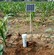 土壤墒情测量仪