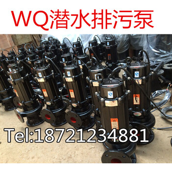 污水处理泵100WQ100-35-18.5kw污水处理厂WQ排污泵