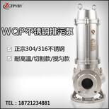 全不锈钢潜水泵50WQP10-10-0.75海鲜池水泵304铸造潜水泵图片3