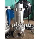 全不锈钢潜水泵50WQP10-10-0.75海鲜池水泵304铸造潜水泵图片1