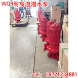 供高温排污泵锅炉水泵50WQR15-30-3KW30米扬程耐高温排污泵图片2