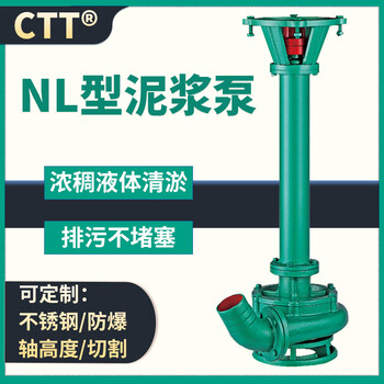 NL泥浆泵长杆鱼塘排淤泵带电机NL80-12浓浆输送泵批发