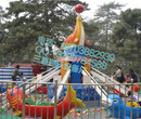 儿童游乐园小型游乐设备海豚戏水厂家新动态图片