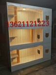 貓咪活體展示籠/單籠柜/雙籠柜/豪華柜，可安裝空調排風機圖片0
