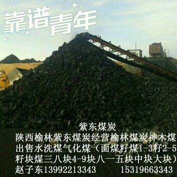 四九块煤出售陕西49块煤销售榆林四九块碳供应神木49块煤批发块煤