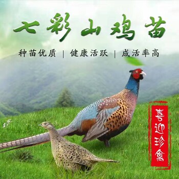 池州山鸡种苗孵化场、贵池区山鸡种苗养殖场、青阳县山鸡种苗养殖基地