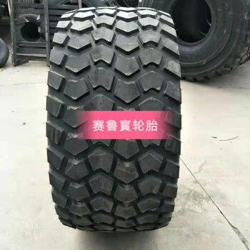 風(fēng)神560/60R22.5改裝車載重卡車輪胎