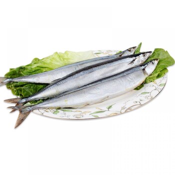三文魚進口需要準備哪些必要的材料和清關(guān)流程
