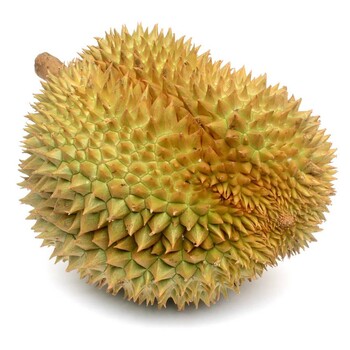 榴蓮進(jìn)口新清關(guān)報(bào)關(guān)流程及注意事項(xiàng)