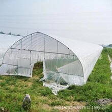 西瓜大棚鍍鋅管廠大棚鋼管配件鍍鋅帶大棚管Q235熱鍍鋅大棚鋼管