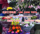 大兴企业文化园鲜花店销售各种花束开业花篮绿植保证新鲜价格实惠图片