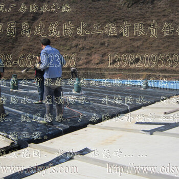 成都成华区房屋防水，屋面防水，地下室防水维修工程