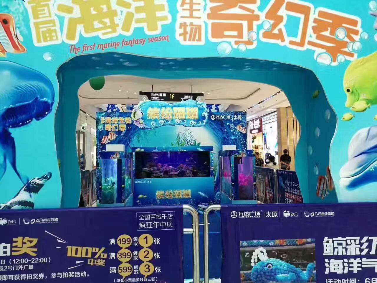 优质鱼缸海洋展出租海狮节目表演活体企鹅租赁