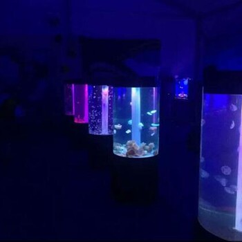 海洋生物展價格海洋展企鵝展示海獅表演出租
