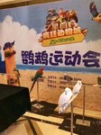 百鸟主题展价格鹦鹉杂技节目表演珍稀鸟类出租价格