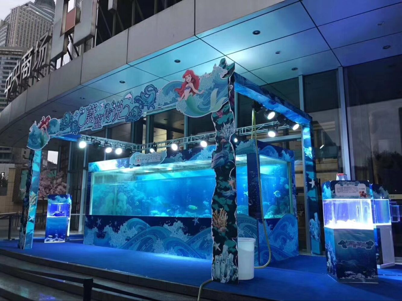 海狮互动表演价格海洋生物鱼缸展示出租活体企鹅