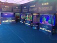 海洋生物展出租海洋展租赁企鹅海狮海洋动物表演