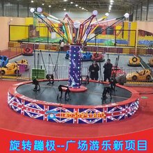 室内商用六人蹦极|广场豪华旋转电动蹦极|万之利游乐|图片