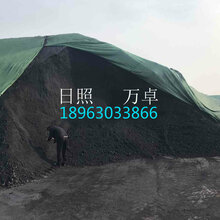 进口石油焦日照石油焦美国弹丸石油焦图片